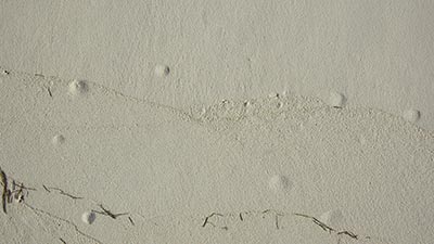 Why Concrete Blisters Form & How To Avoid Them